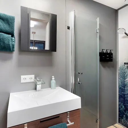 Apartment Schwarzwald Achern