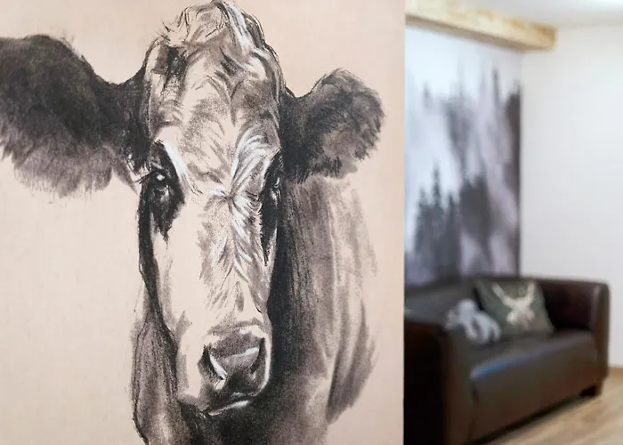 Schwarzwald Apartamento